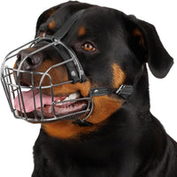 Stainless Steel Wire Basket Dog Muzzle for Husky – Essentials for Dogs - Stainless Steel / Rottweiler