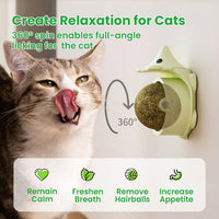 Catnip Toys with 6 Refill Catnip Balls & 3 Massage Shells – Essentials for Cats - image 3
