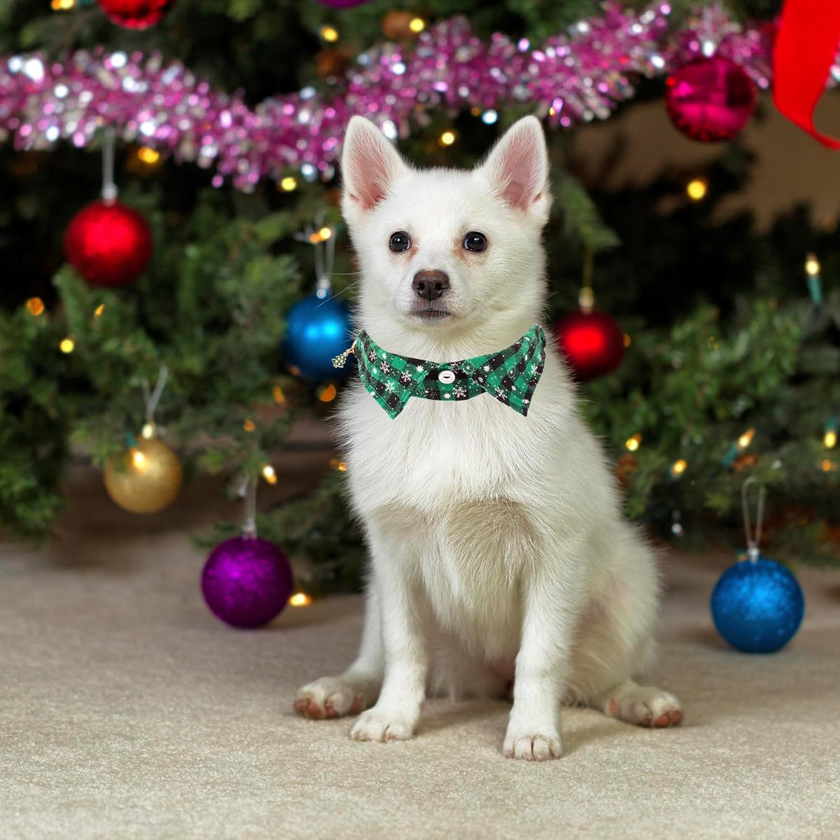 ADOGGYGO Fall Plaid Dog Collar 2 Pack, Thanksgiving Dog Bow Tie - Small / Christmas Shirt Collar - image 3