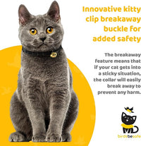 BirdsBeSafe® Break Away Cat Collar with Bell, Reflective Thread for Night Visibility, Comfortable Elastic Stretch Cat Collar to Protect Cat from Getting Stuck in The Garden.