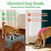 EliteField Elevated Dog Bowls - 2 Stainless Steel Bowls / Gray - image 3