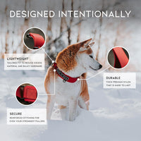 MADE TO ROAM Premium Everyday Dog Collar - Michigan Autumn / Size 2 - image 4