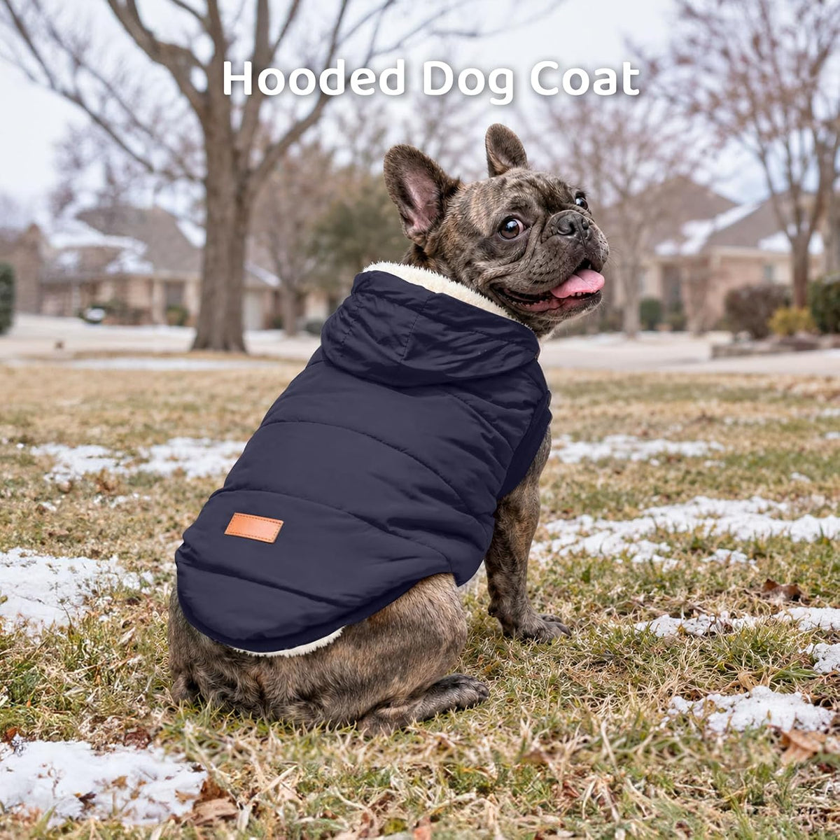 Vecomfy Warm Dog Coats with Hoodie - X-Large / Blue - image 2