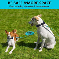 Dog Tie Out Cable 10FT-500Lbs,Heavy Duty Dog Leads&Tether for Yard with Swivel Hook,Small Large Dogs Leash Line for Outside,Rust Chew Proof Dogs Run Cable for Outdoor Camping(Teal, 10FT)