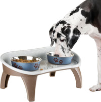 Elevated Pet Feeding Tray