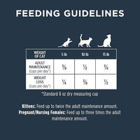 Instinct Raw Boost, Natural Dry Cat Food with Freeze Dried Pieces, High Protein, Grain Free Recipe - Real Salmon, 4.5 lb. Bag