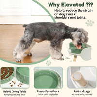 Elevated Slow Feeder Dog Bowls with Splash Proof Stand - Medium / Green - image 3