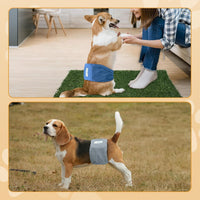 Teamoy Male Dog Belly Band, Reusable Wrap Dog Diapers - Small (Pack of 3) / Orange+ Denim+ Fat Smile - image 4