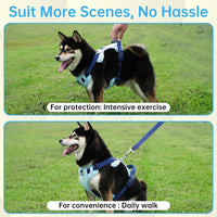 Dog Harness and Leash Set with Collar - Blue / S(Neck:15.7-20.5",Chest:18.9-23.6") - image 4