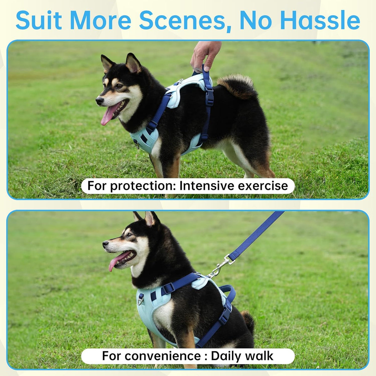 Dog Harness and Leash Set with Collar - Blue / S(Neck:15.7-20.5",Chest:18.9-23.6") - image 4