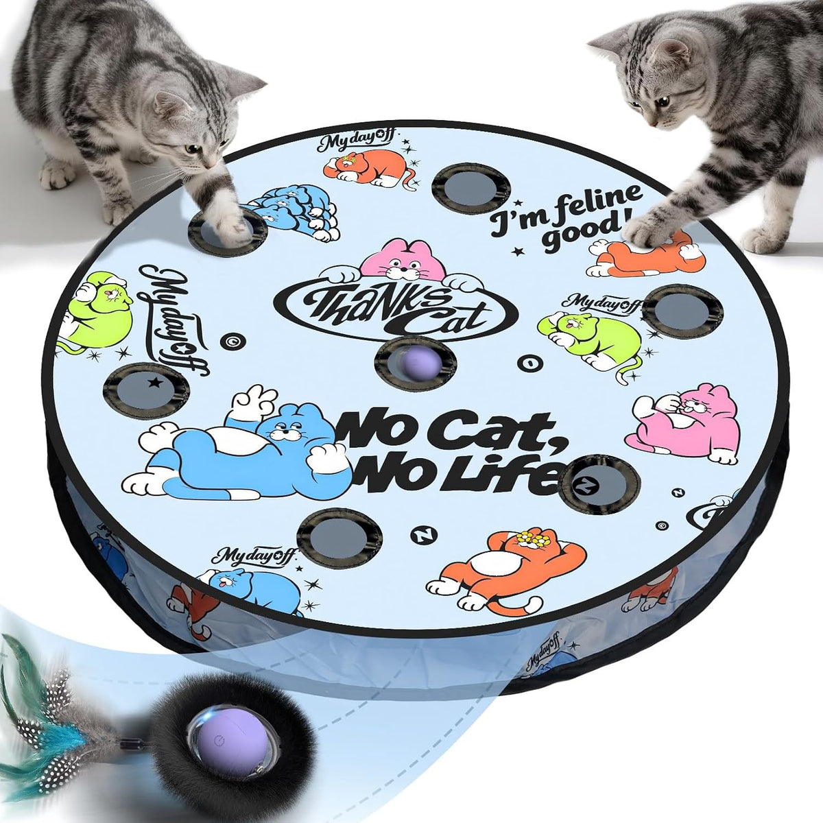 Interactive Cat Toy for Indoor Cats - No Cat No Life