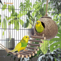 Niteangel Natural Coconut Hamster Hideaway with Ladder - House with Ladder / Smooth Surface - image 4