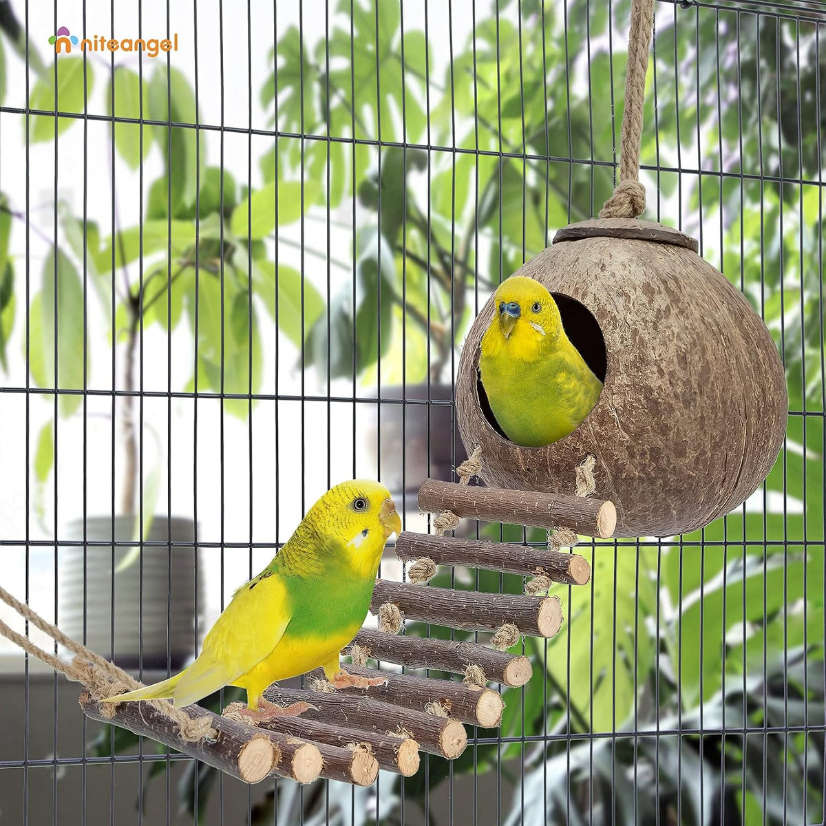 Niteangel Natural Coconut Hamster Hideaway with Ladder - House with Ladder / Smooth Surface - image 4