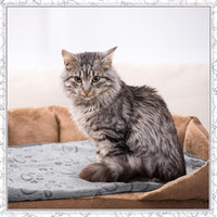 Tegeme 12 Pcs Puppy Blanket for Litter Dog Cat - Gray / 23 x 16 Inch - image 2