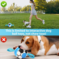 5 Pack No Stuffing Squeaky Dog Toys for Large Dogs - Blue White / Soccer - image 3