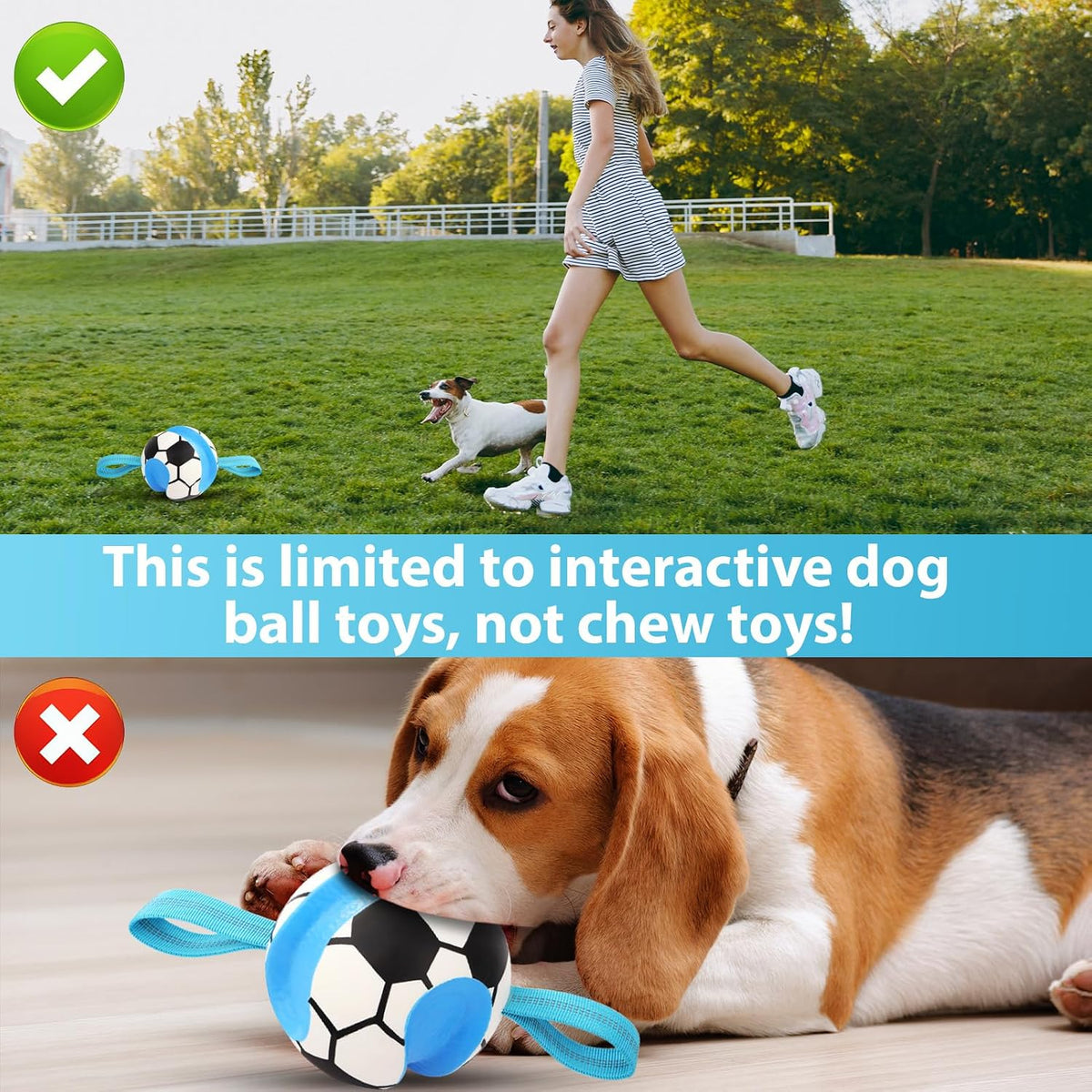 5 Pack No Stuffing Squeaky Dog Toys for Large Dogs - Blue White / Soccer - image 3