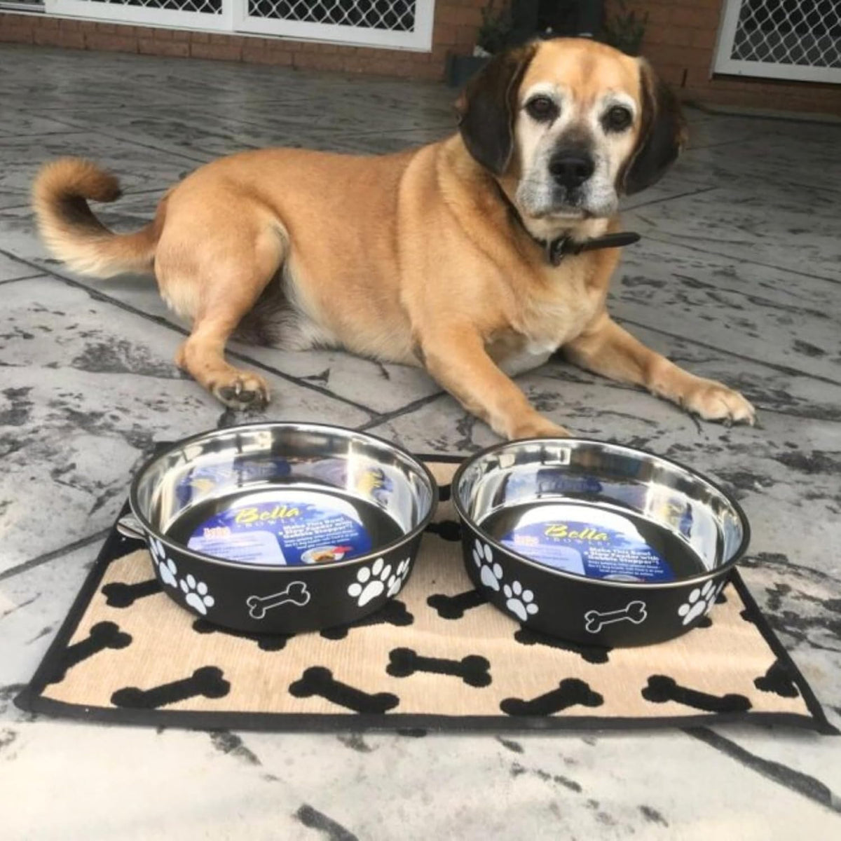 Loving Pets Bella Dog Bowls, Stainless Steel Dog & Cat Bowls - Espresso / Large (35-65lbs) - image 3