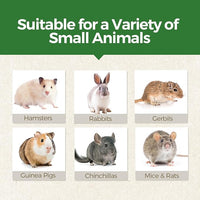 TEEWY 4PCS Guinea Pig Chew Toys, Prevent Teeth Overgrowth, Natural Vegetables and Timothy Grass, Hamster Chew Toys, Guinea Pig Toys, Chinchilla Toys, Grass Patch & Flowers