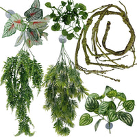 Reptile Plants for Bearded Dragon Tank Accessories - Group E