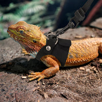 Bearded Dragon Harness Leash Set, 3 Size Lizard Harness - Black - image 3