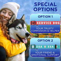 Reflective Neoprene Padded Dog Collar with Quick Release Buckle – Essentials for Dogs - Dark Emerald Green / Small - image 3