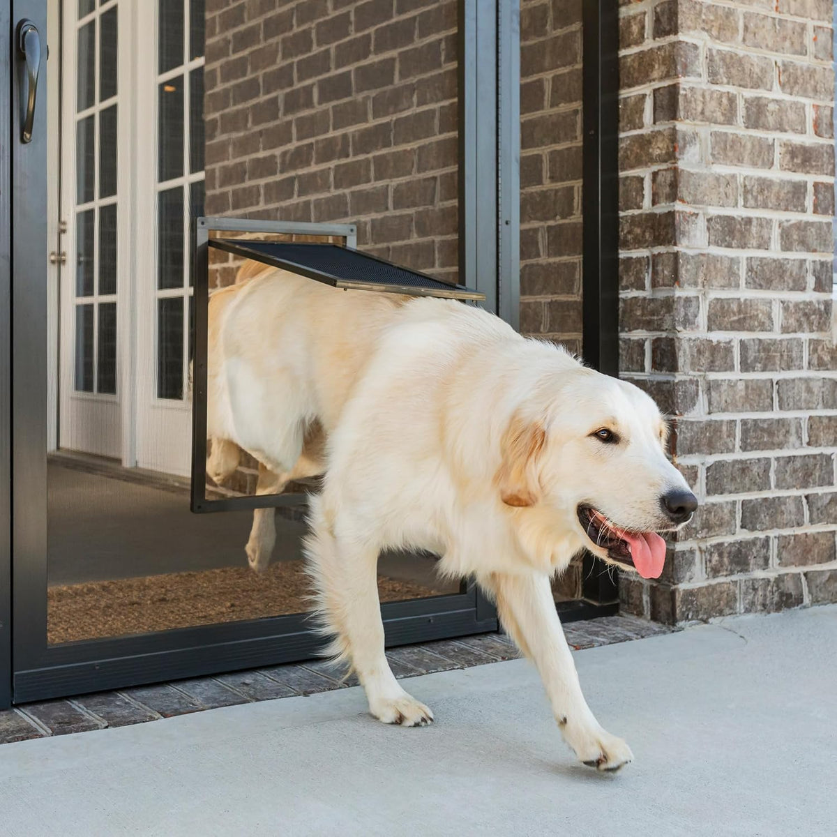 PetSafe Screen Door for Dogs & Cats, Up to 100 lb - Large (Pack of 1) - image 2