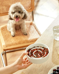 Ceramic Slow Feeder Dog Bowls - White / 6 Inches - image 2