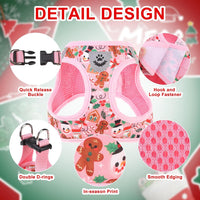 EXPAWLORER Plaid Small Dog Harness and Leash Set with AirTag Holder - Christmas Red / Medium - image 3