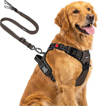 Joytale No Pull Dog Harness & Seat Belt, Easy On 3-Buckle, L - Brown / Extra Large