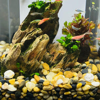 5LB Coarse Sand, Colored Rocks Pebbles - 20LB / 8-12MM - image 3
