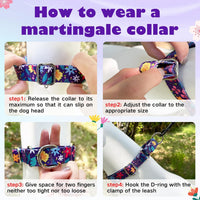 Hikiko Martingale Dog Collar Without Buckle - Colourful Blossoms / Medium - image 2