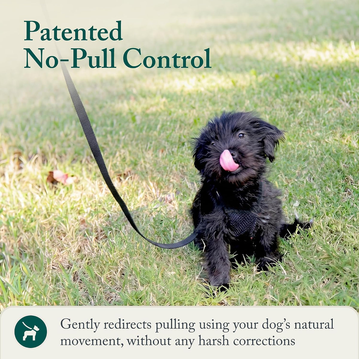 Sporn No Pull Dog Harness - Small / Black - image 4