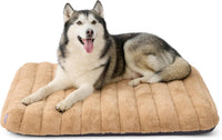 LE SURE Cute Orthopedic Dog Bed Large Sized Dog, Flat Pet Mat - 44"L x 32"W x 4"Th / Beige