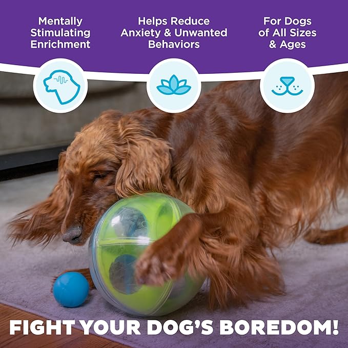 Outward Hound by Nina Ottosson A-Maze Ball Dog Treat Puzzle Ball, Level 2 Intermediate, Green