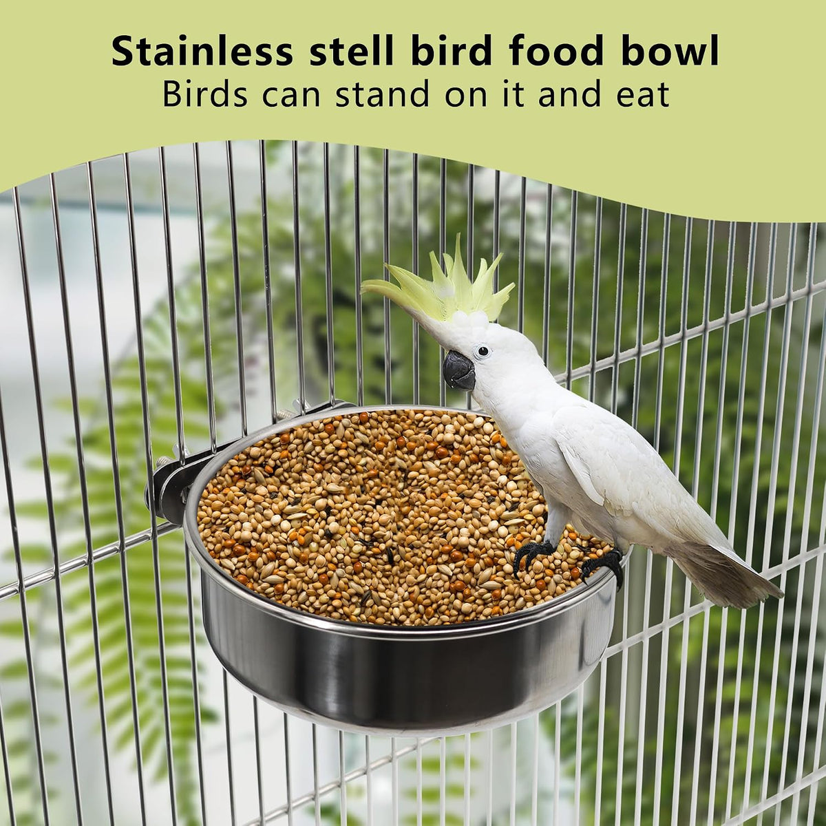 Large Bird Feeding Dish Cups with Clamp Holder - Medium / 4 Pack - image 4