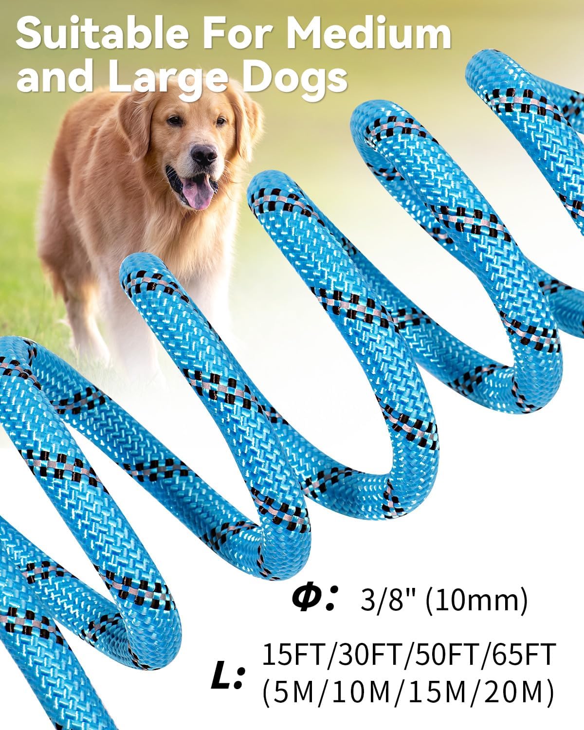 Joytale Long Dog Leash for Yard Tie Out & Recall Training - Blue / 30FT - image 4