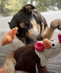 goDog Checkers Fat Rooster Squeaky Plush Dog Toy - Large (Pack of 1) - image 3
