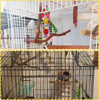 PINVNBY Parrot Perches Natural Birds Stand Wild Grape Stick Grinding - 2 PCS: - image 3