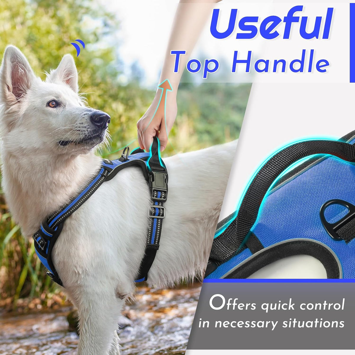Eagloo Dog Harness for Large Dogs - Large / Blue - image 4