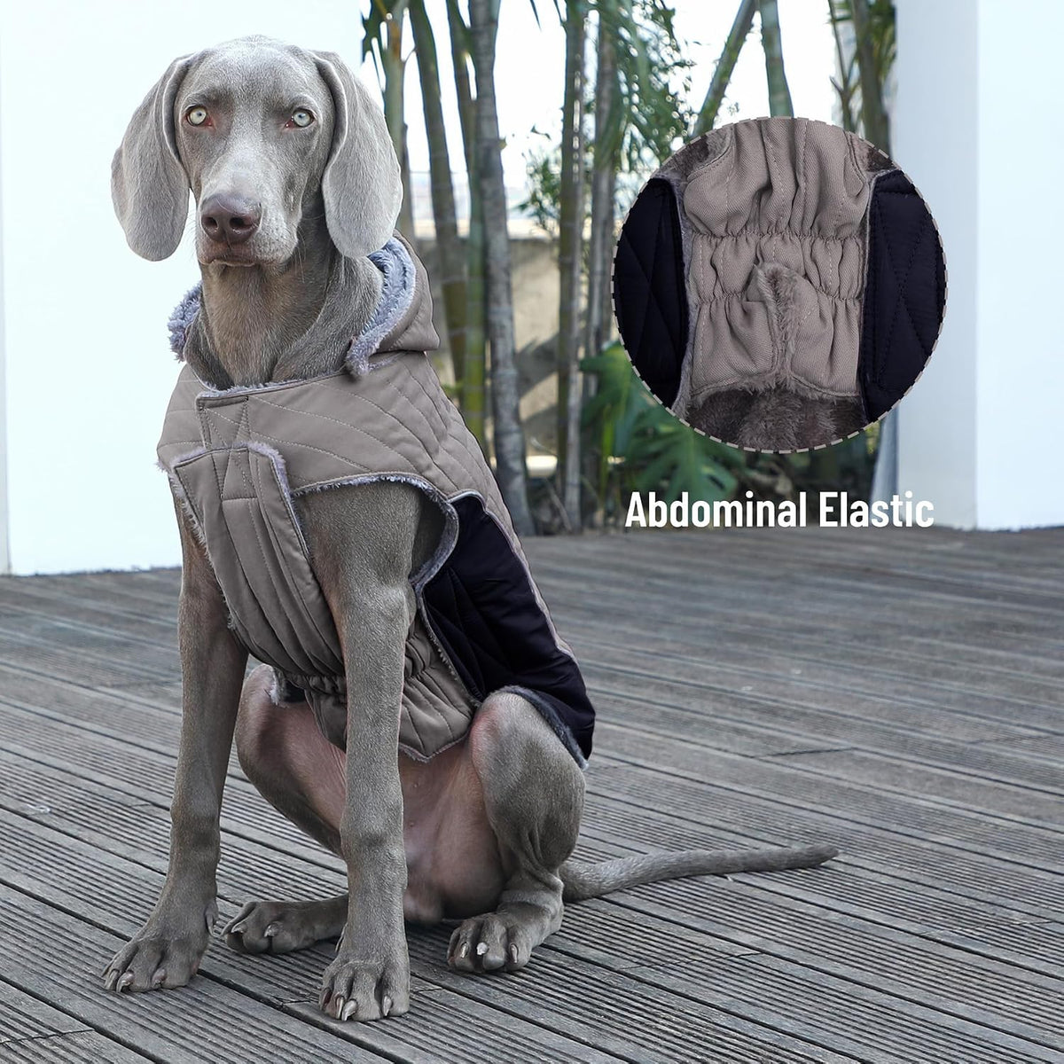 Warm Fleece Dog Hoodie for Small Dogs, Winter Puppy Coats - Grey / Small - image 4