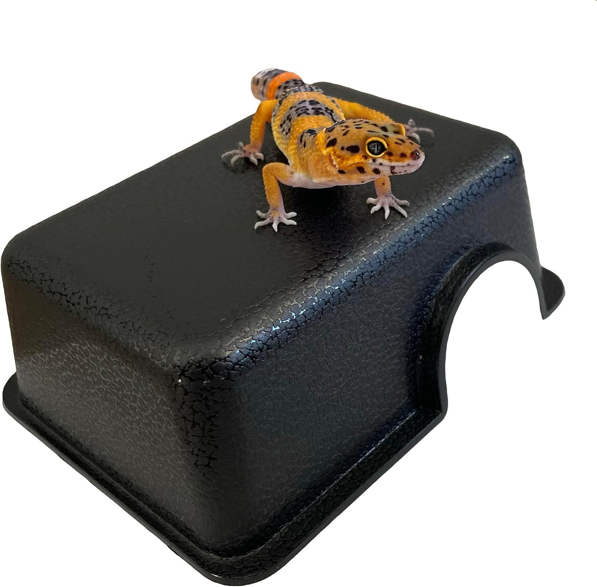 Plastic Reptile Hide Box for Leopard Geckos, Snakes, Lizards - Small