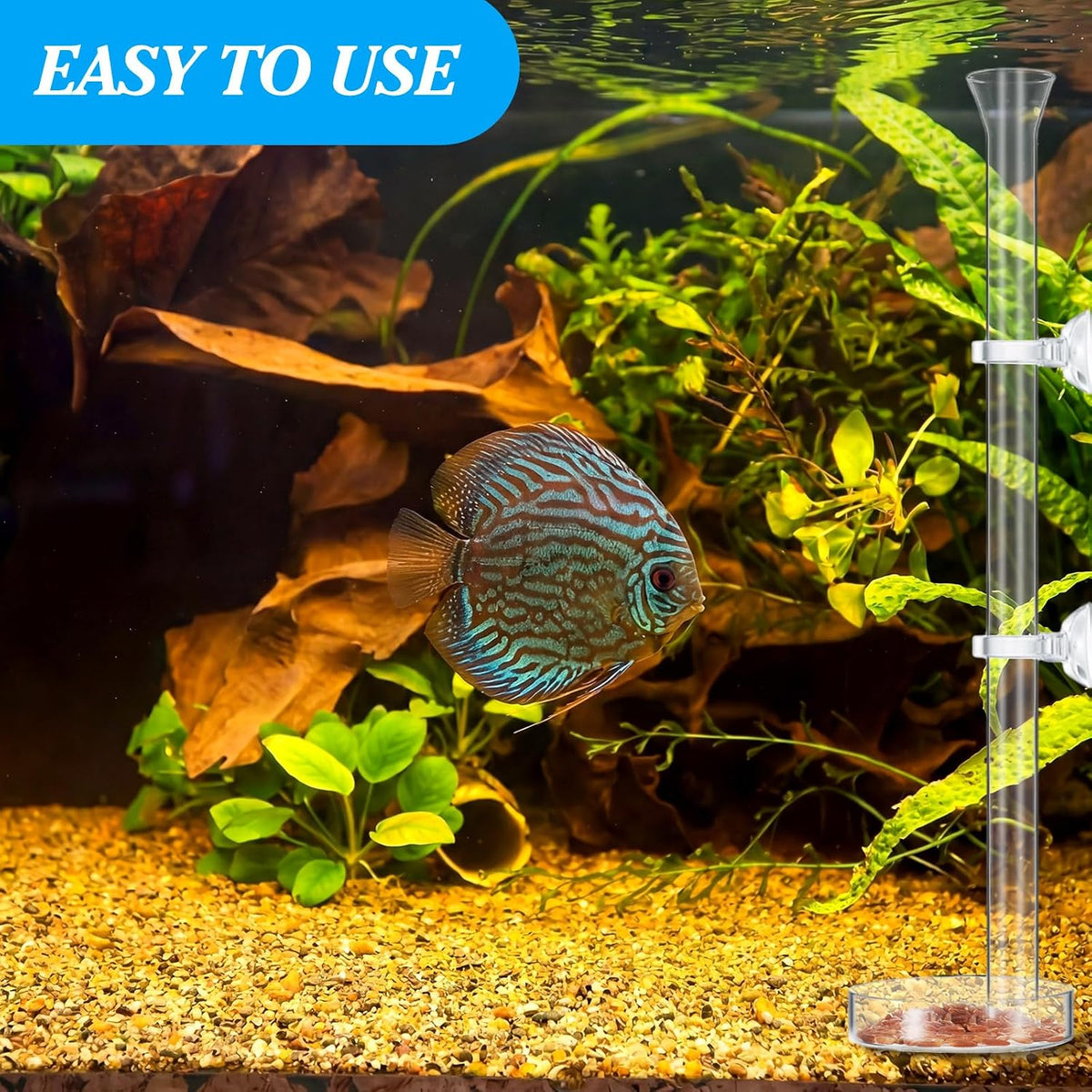CHENGU 3 Pcs Shrimp Feeding Tube and Dish - 12" + 2 Tray - image 4