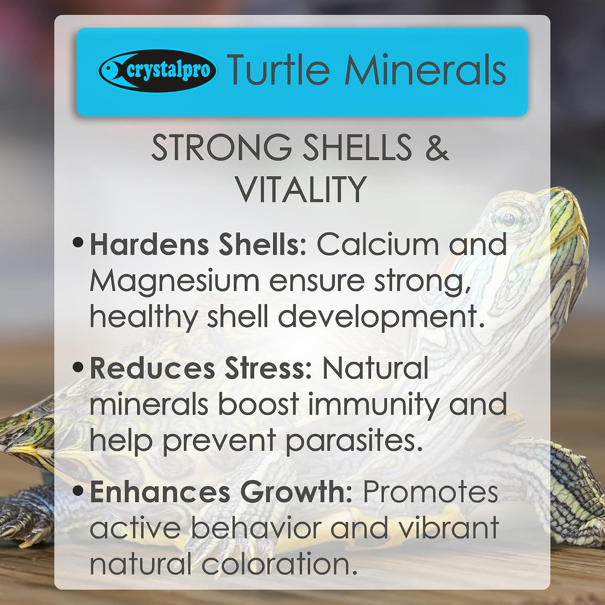 Crystalpro Turtle Minerals 4.22 Oz - image 3