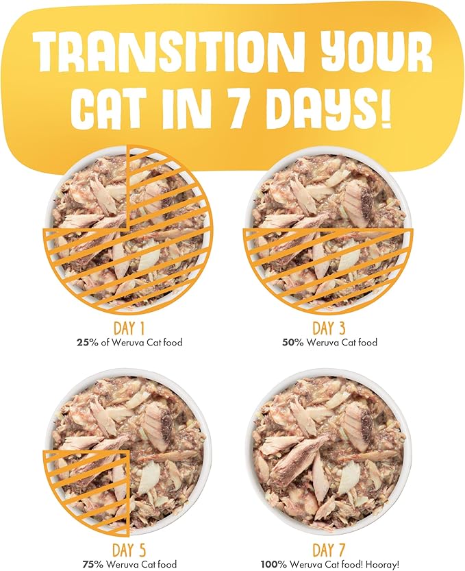 Weruva Classic Cat Food, Meow Luau with Mackerel & Pumpkin in Gravy, 3oz Can (Pack of 24)