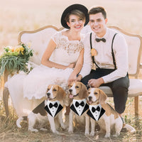ADOGGYGO Dog Tuxedo Collar, Wedding Dog Bow Tie - Small / Black&White - image 2
