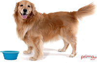 Prima Pet Expandable/ Collapsible Silicone Food & Water Travel Bowl - Aqua / LARGE (5 CUPS) - image 3
