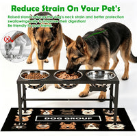 SHAINFUN Elevated Dog Bowls with Slow Feeder & Mat for Medium - Black-3L-Three - image 2