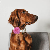 Dog Collar Flowers Attachement Bow Tie Accessories for Pet Grooming - Light - image 2