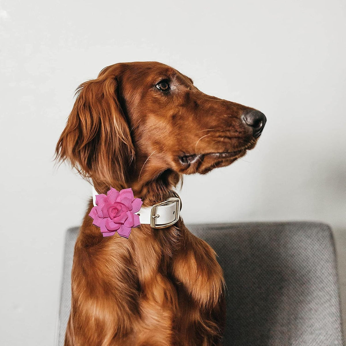 Dog Collar Flowers Attachement Bow Tie Accessories for Pet Grooming - Light - image 2
