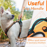Eagloo Dog Harness for Large Dogs - X-large / Orange - image 4